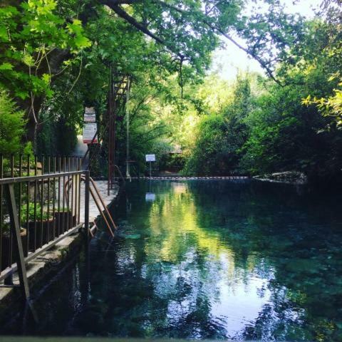 Yuvarlakcay Cinar Butik Hotel Köyceğiz Dış mekan fotoğraf